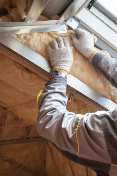 Professional Insulation in North Valley, NM