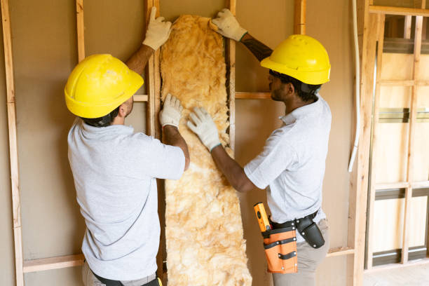 Best Eco-Friendly or Green Insulation Solutions  in North Valley, NM